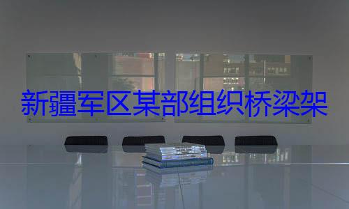 新疆军区某架设训练部组织桥梁图